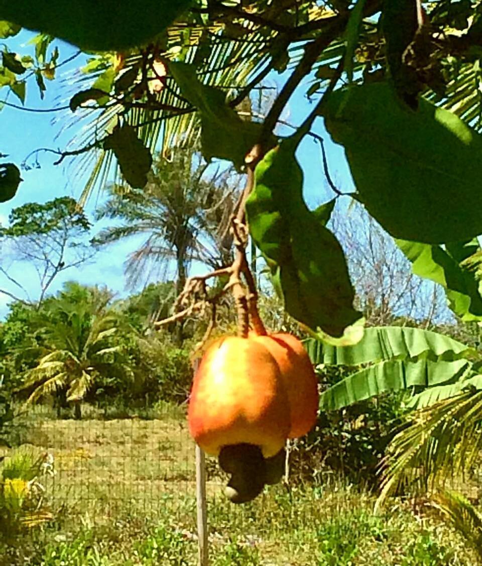 Casa Ohana Barra Grande  Dış mekan fotoğraf